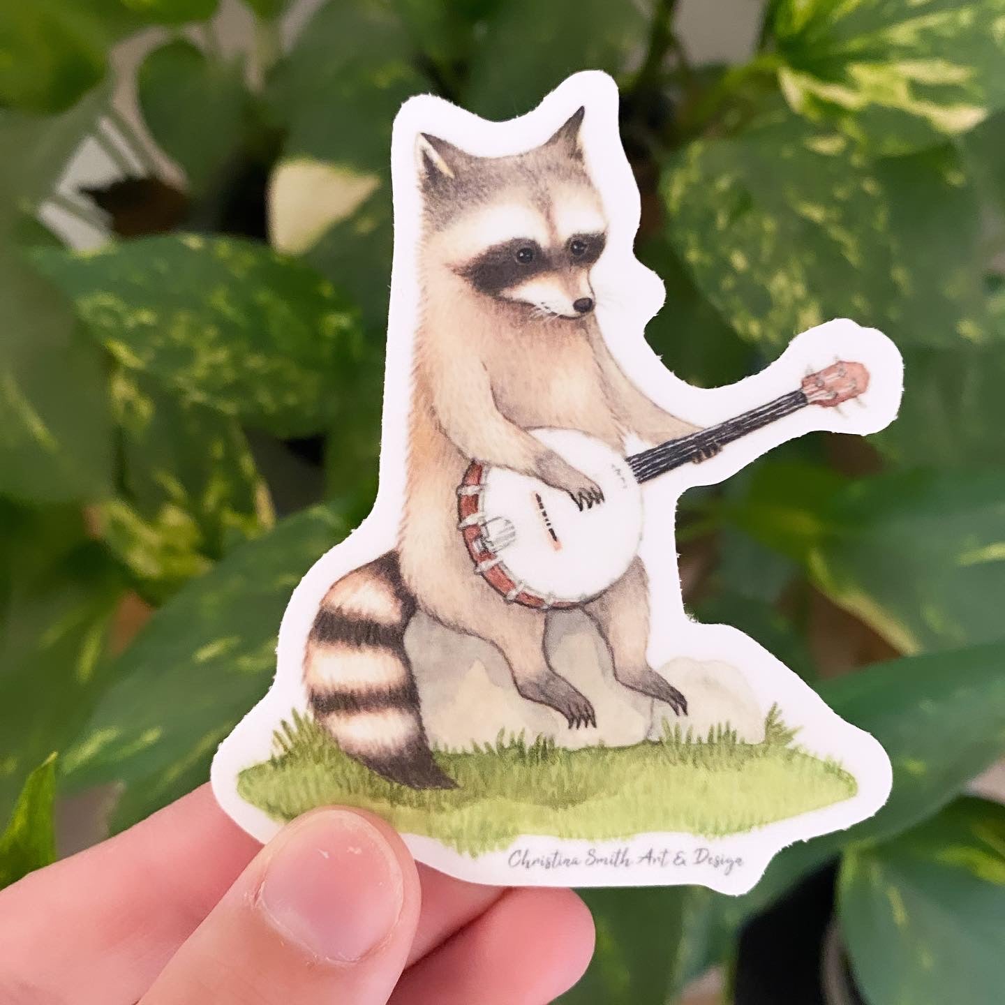 Banjo Raccoon Sticker