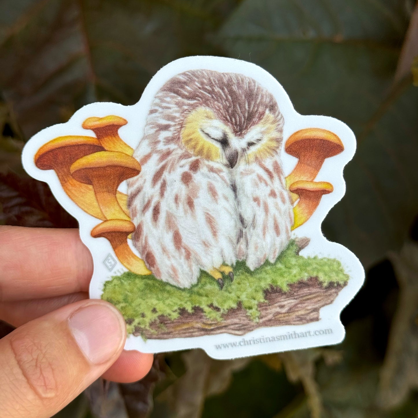 Owl and Mushrooms Sticker