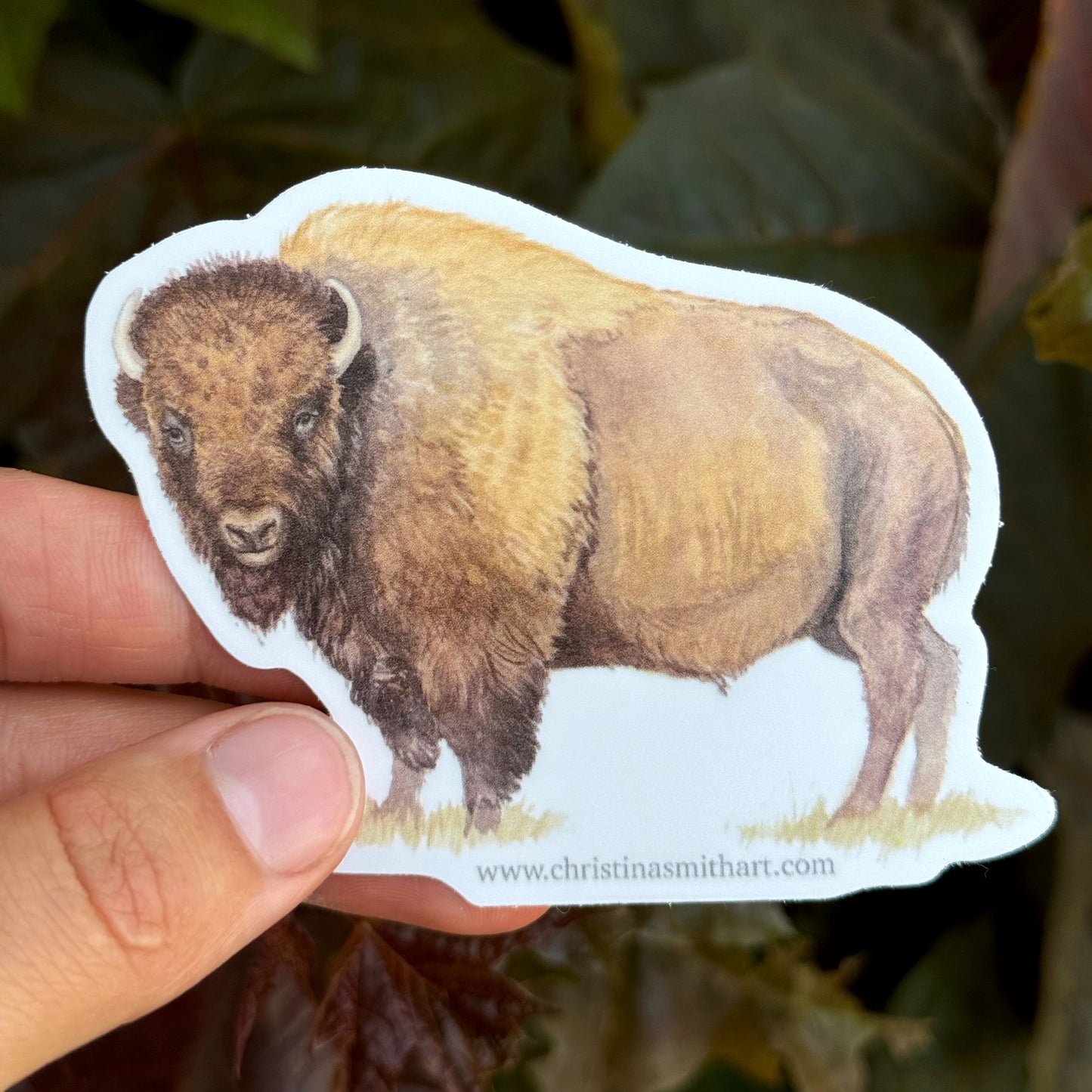 Bison Sticker
