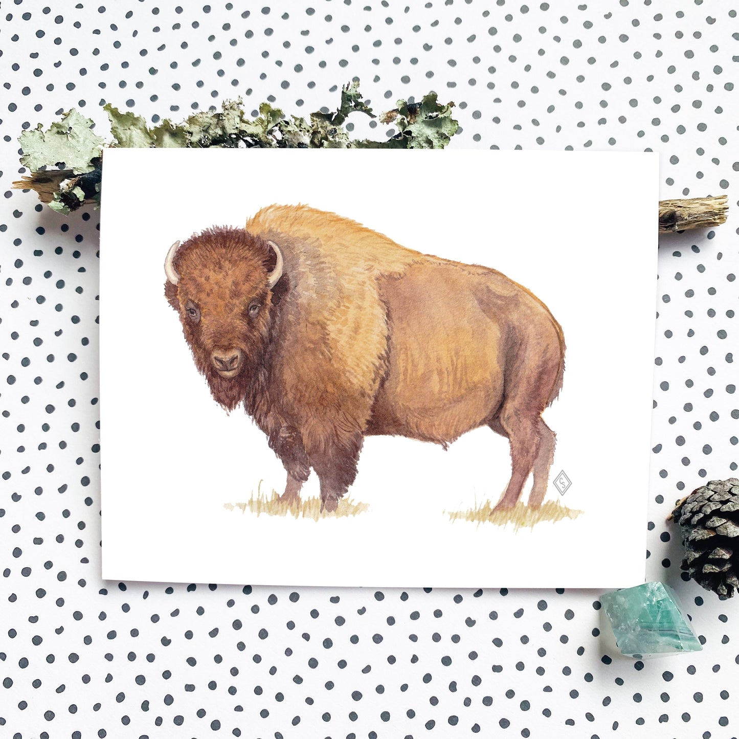 Bison Greeting Card