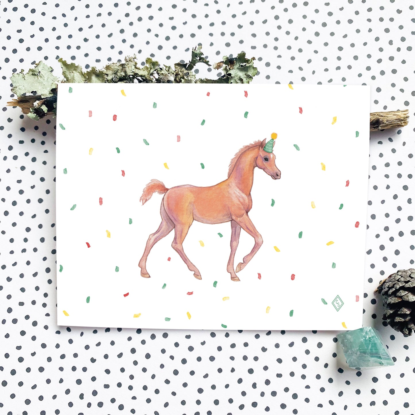 Colt Foal Birthday Card