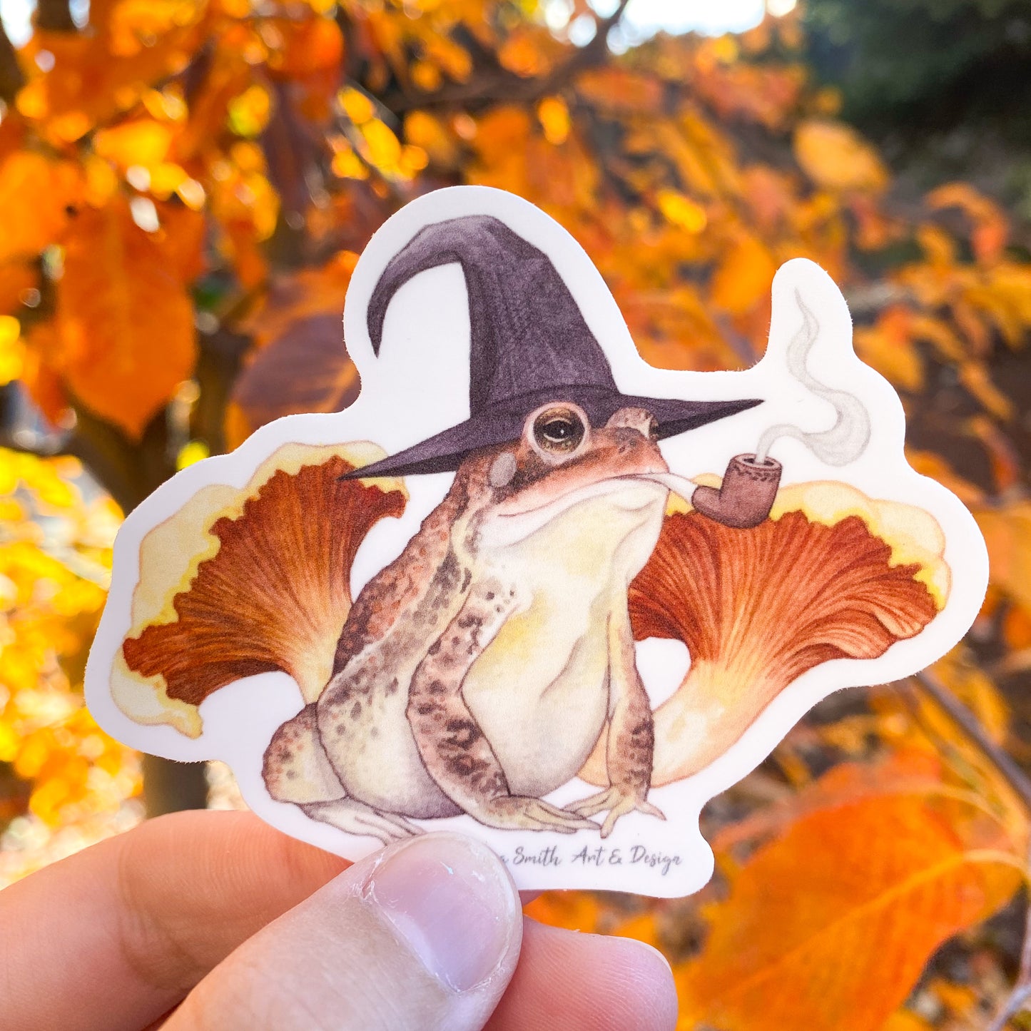Wizard Toad Sticker