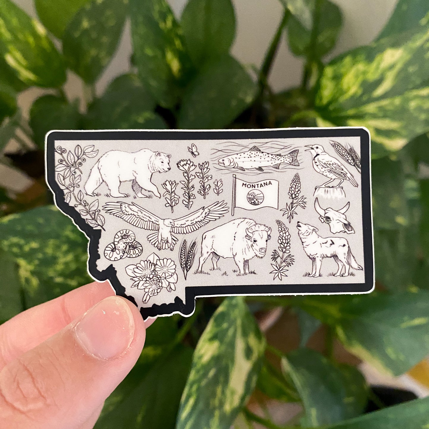 Montana Wilderness Sticker
