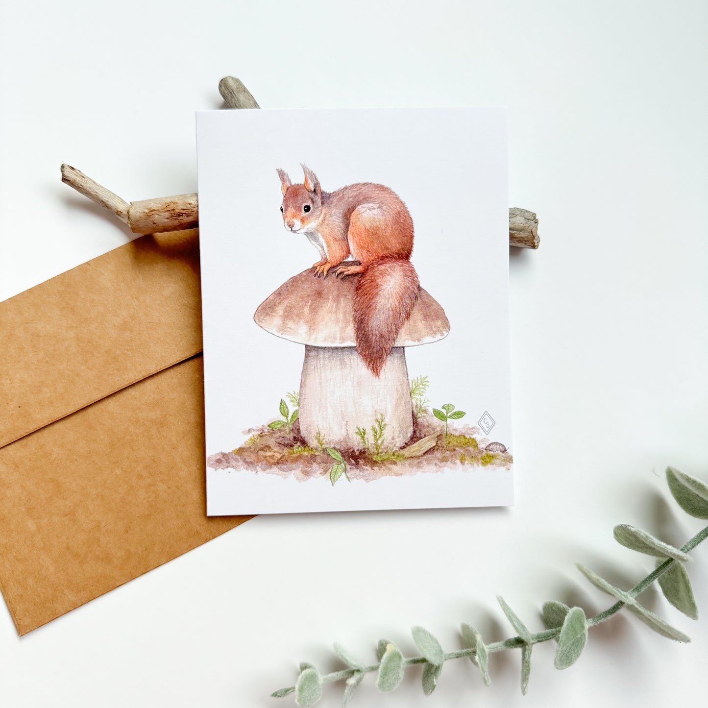 Red Squirrel & King Bolete Mushroom - Greeting Card