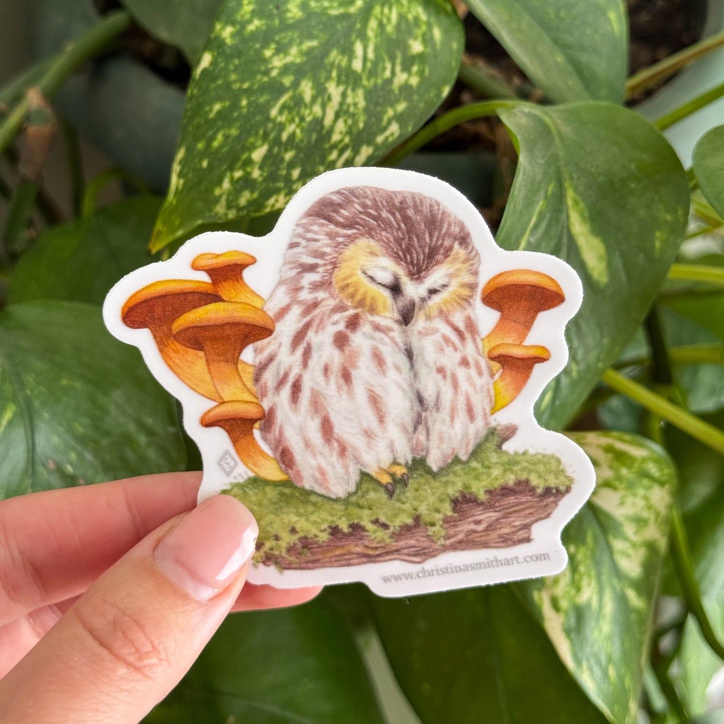 Owl and Mushrooms Sticker