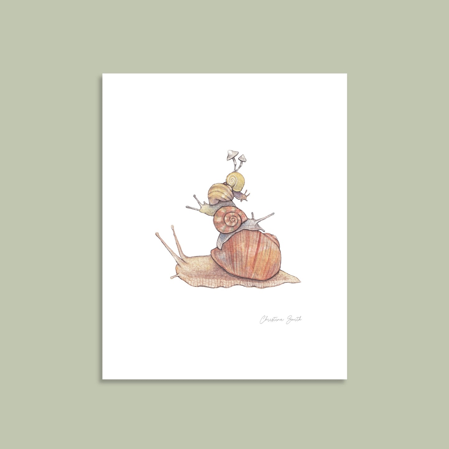 Snail Stack - Art Print