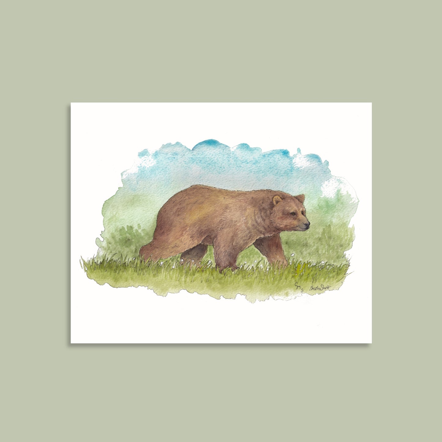Grizzly - Limited Edition Art Print