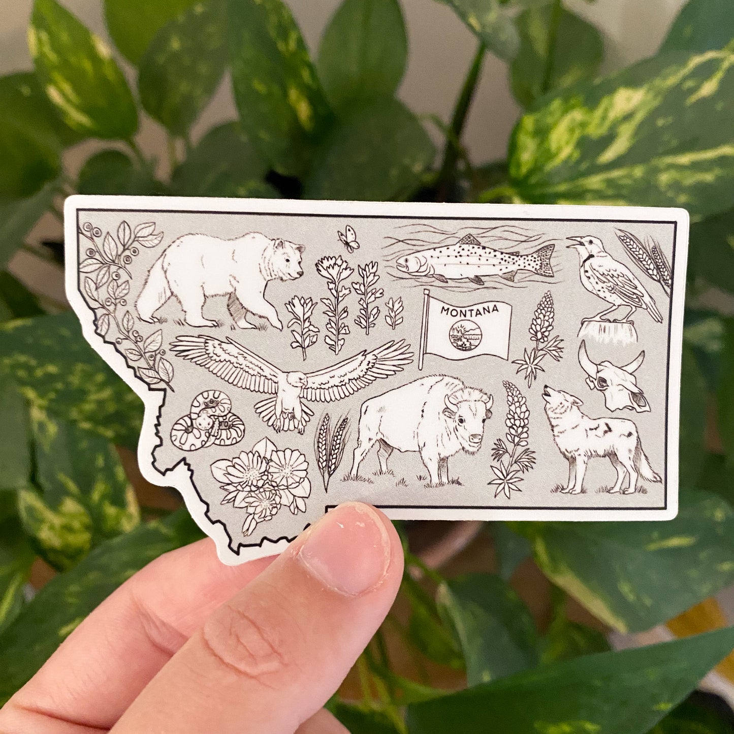 Montana Wilderness Sticker - Larger