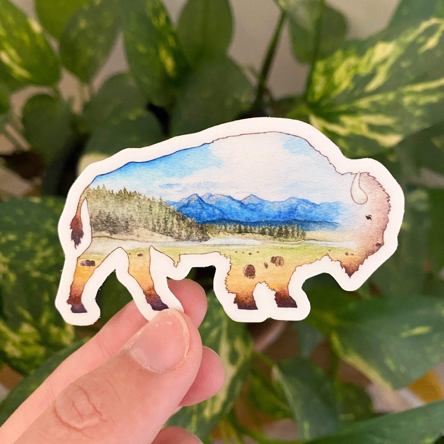 Yellowstone Bison Sticker