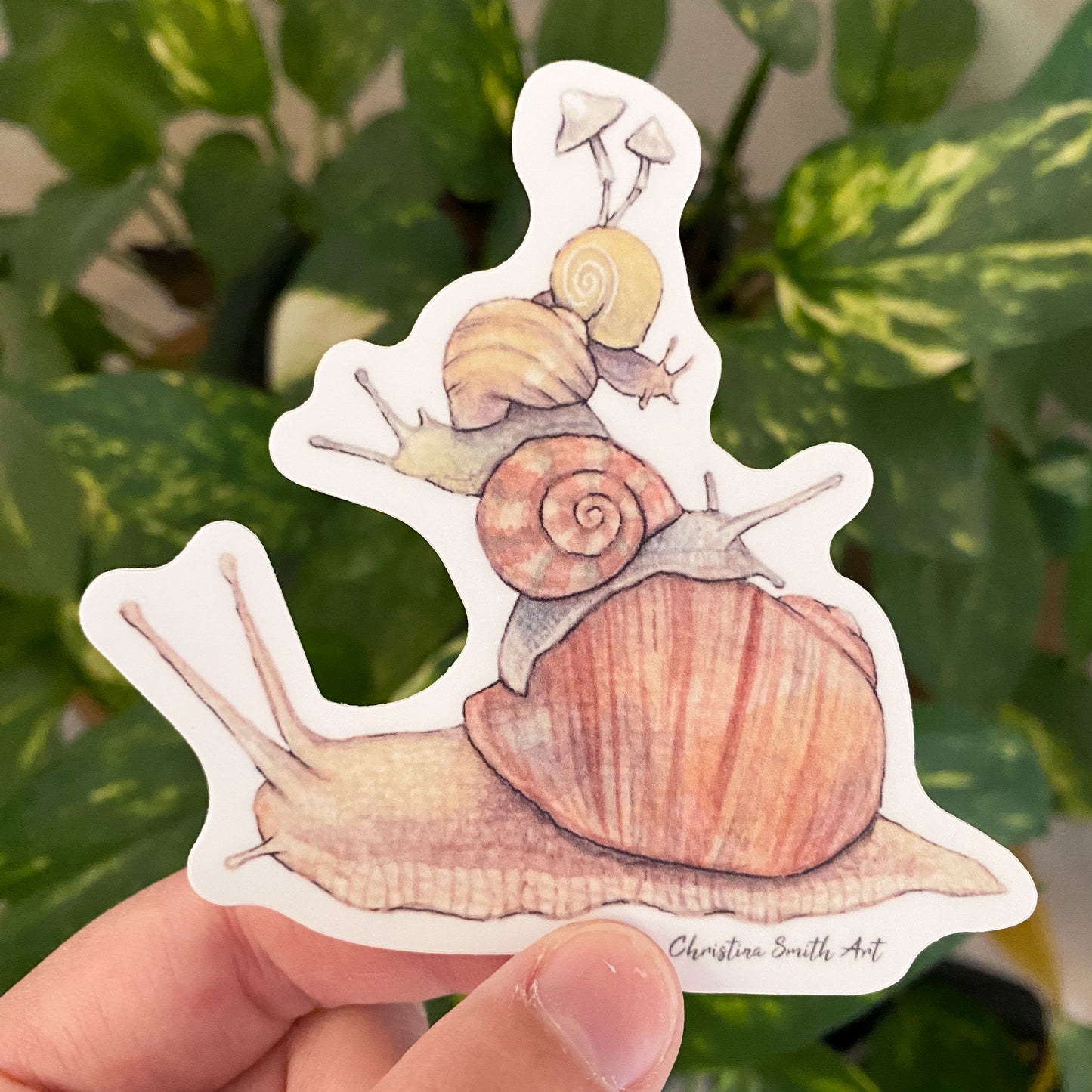 Snail Stack Sticker