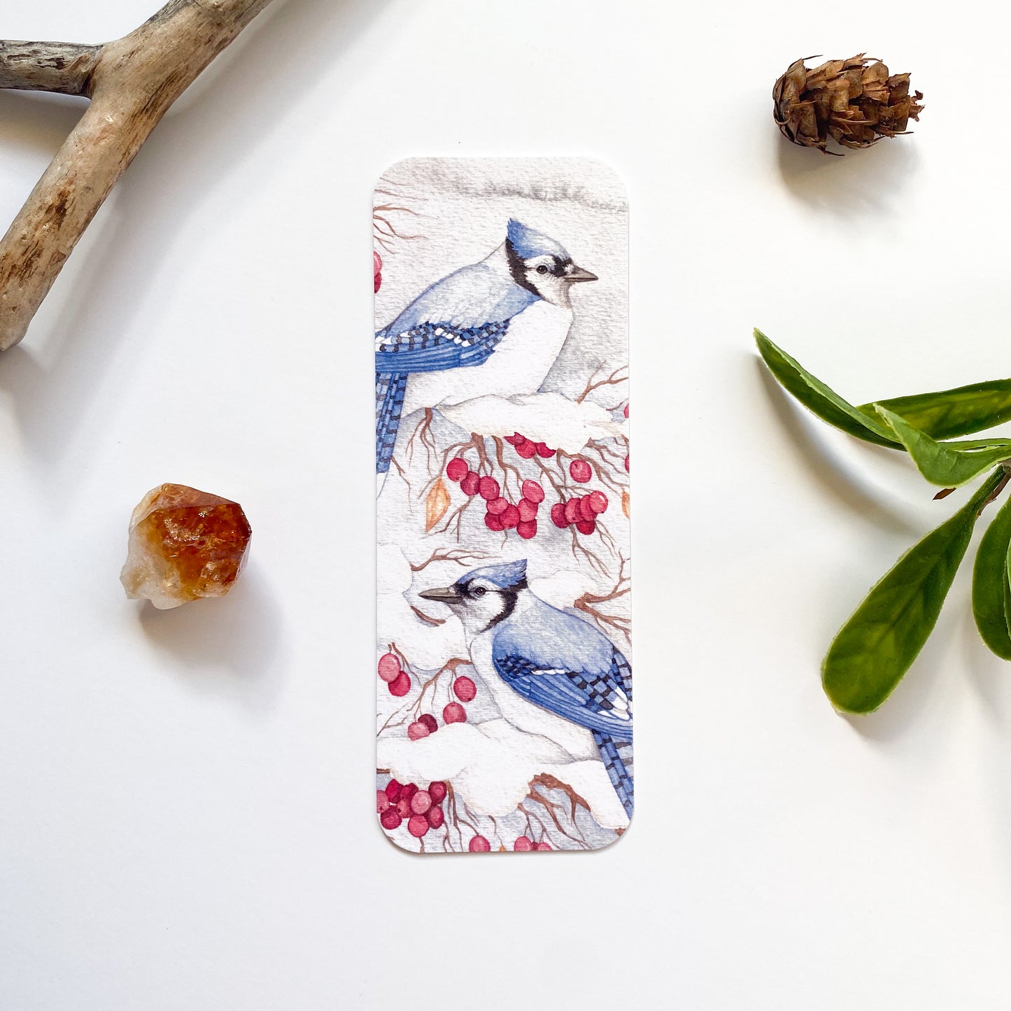 Winter Blue Jay Bookmark
