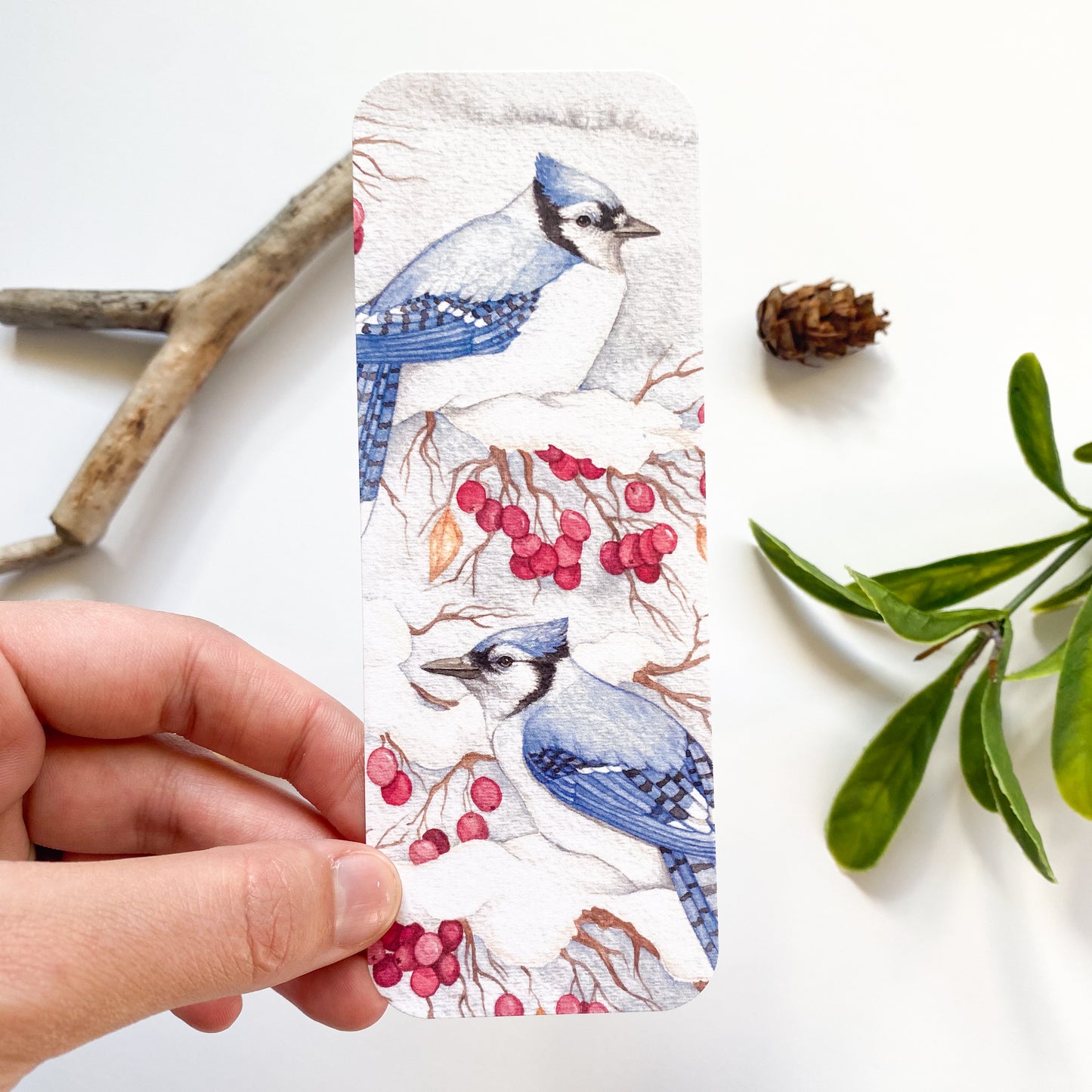 Winter Blue Jay Bookmark