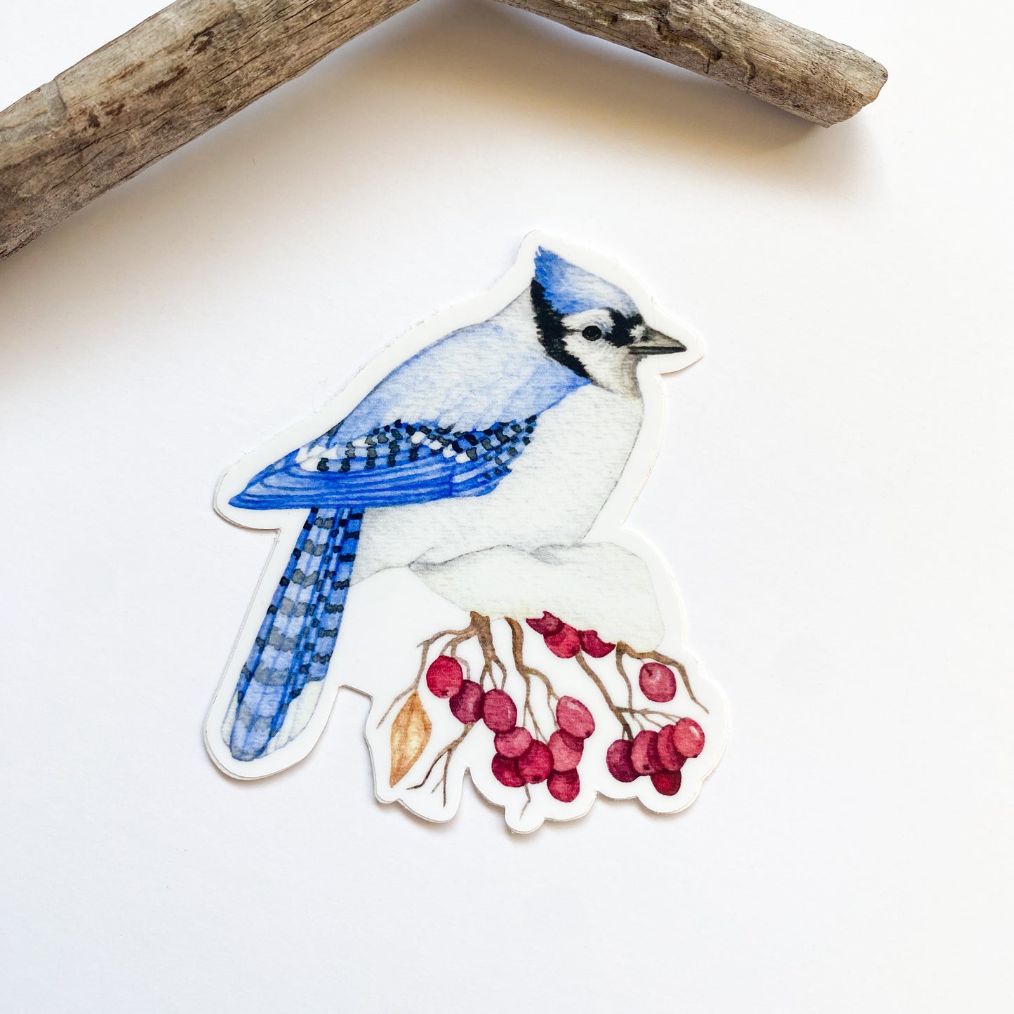 Winter Blue Jay Sticker