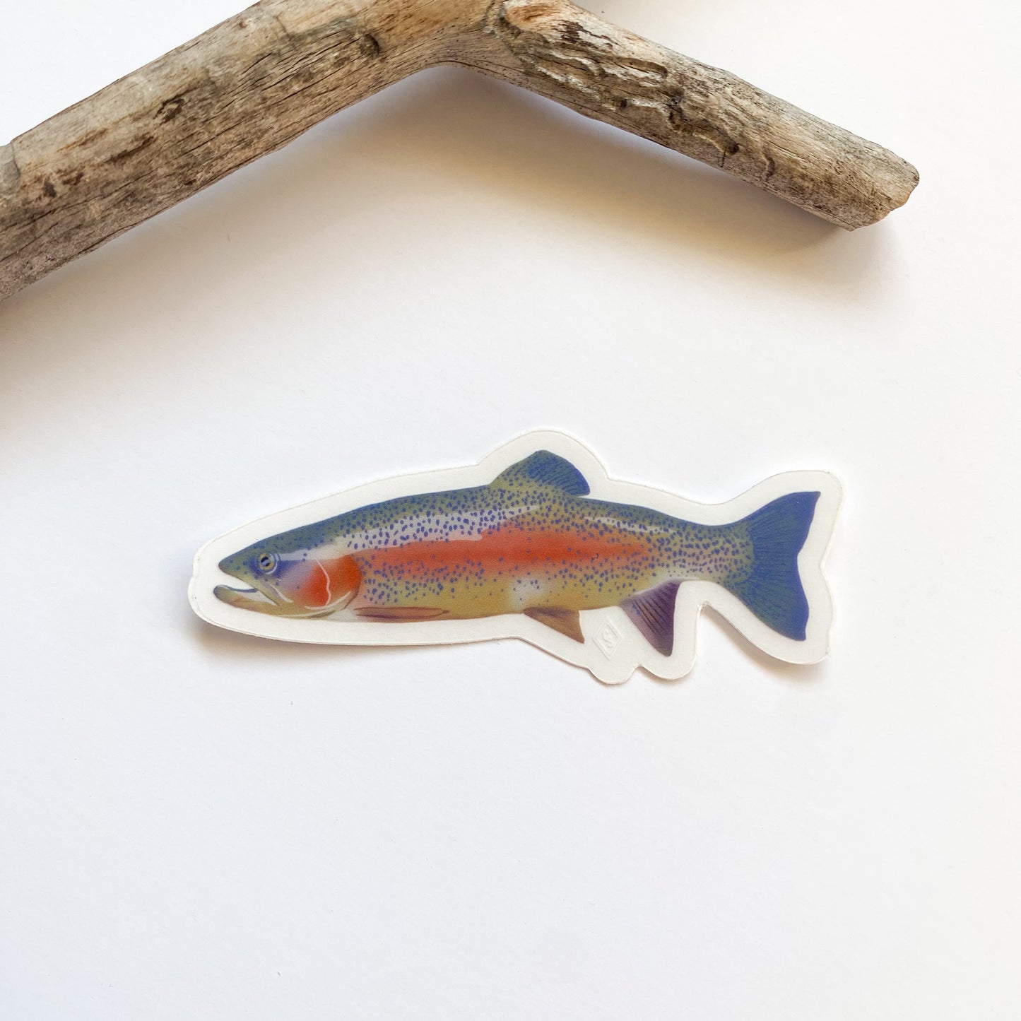 Rainbow Trout Sticker