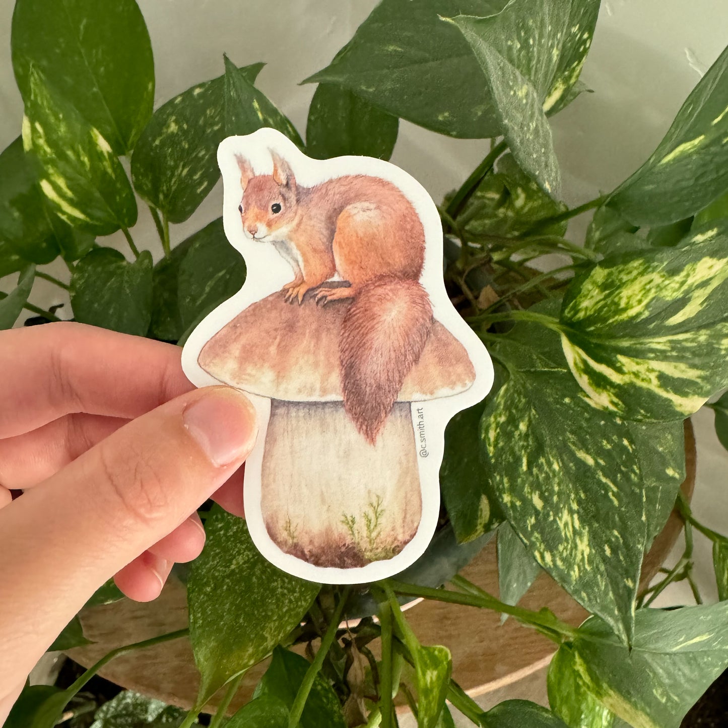 Red Squirrel & King Bolete Sticker