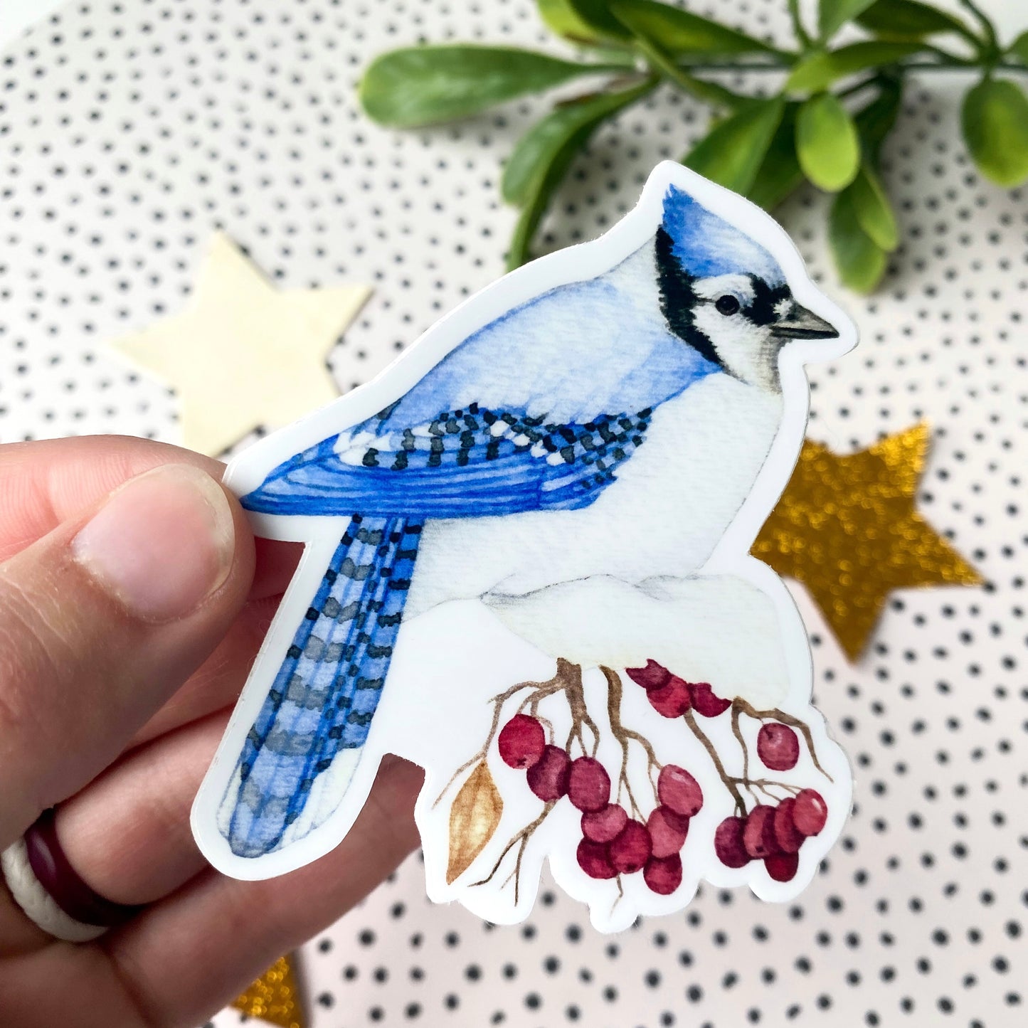 Winter Blue Jay Sticker