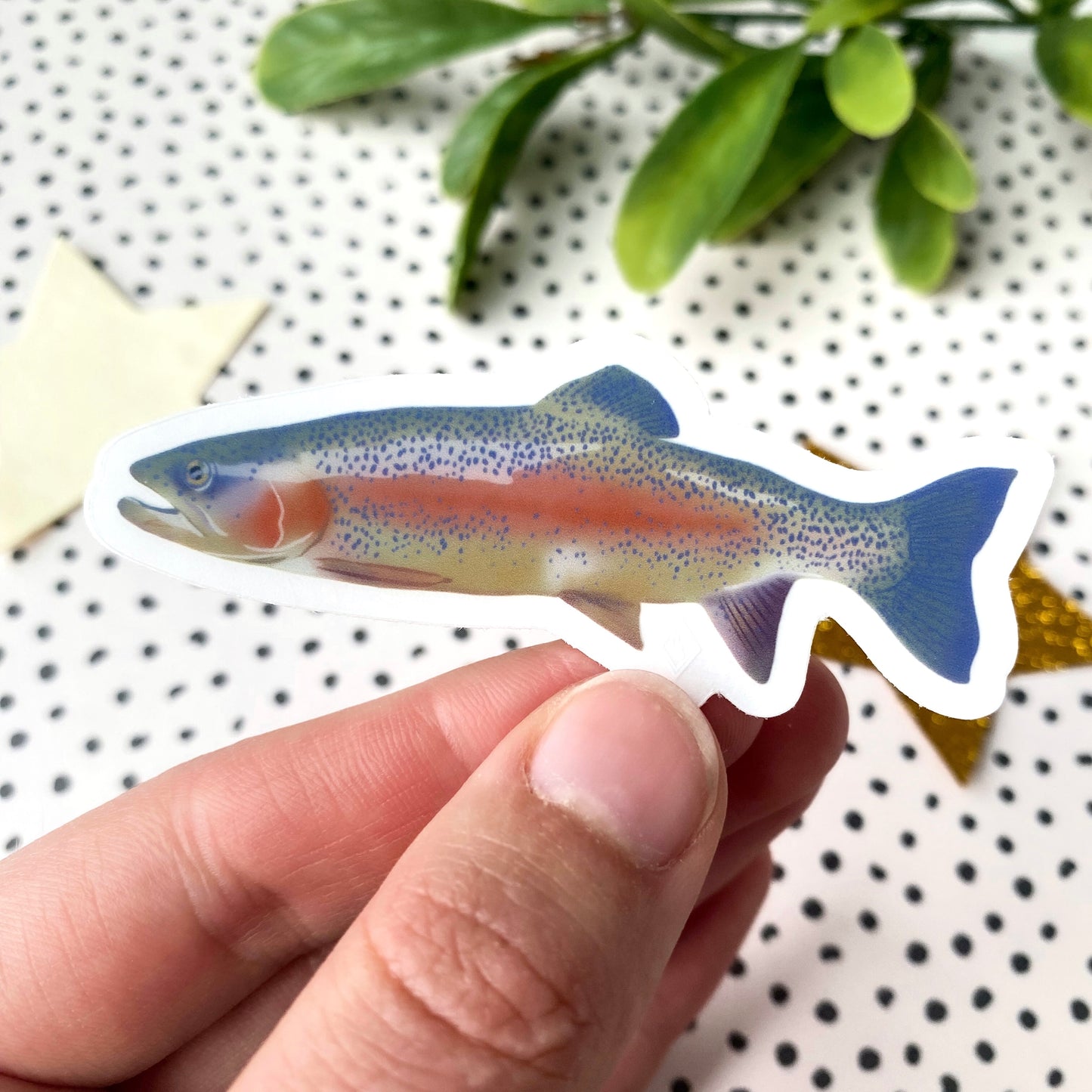Rainbow Trout Sticker