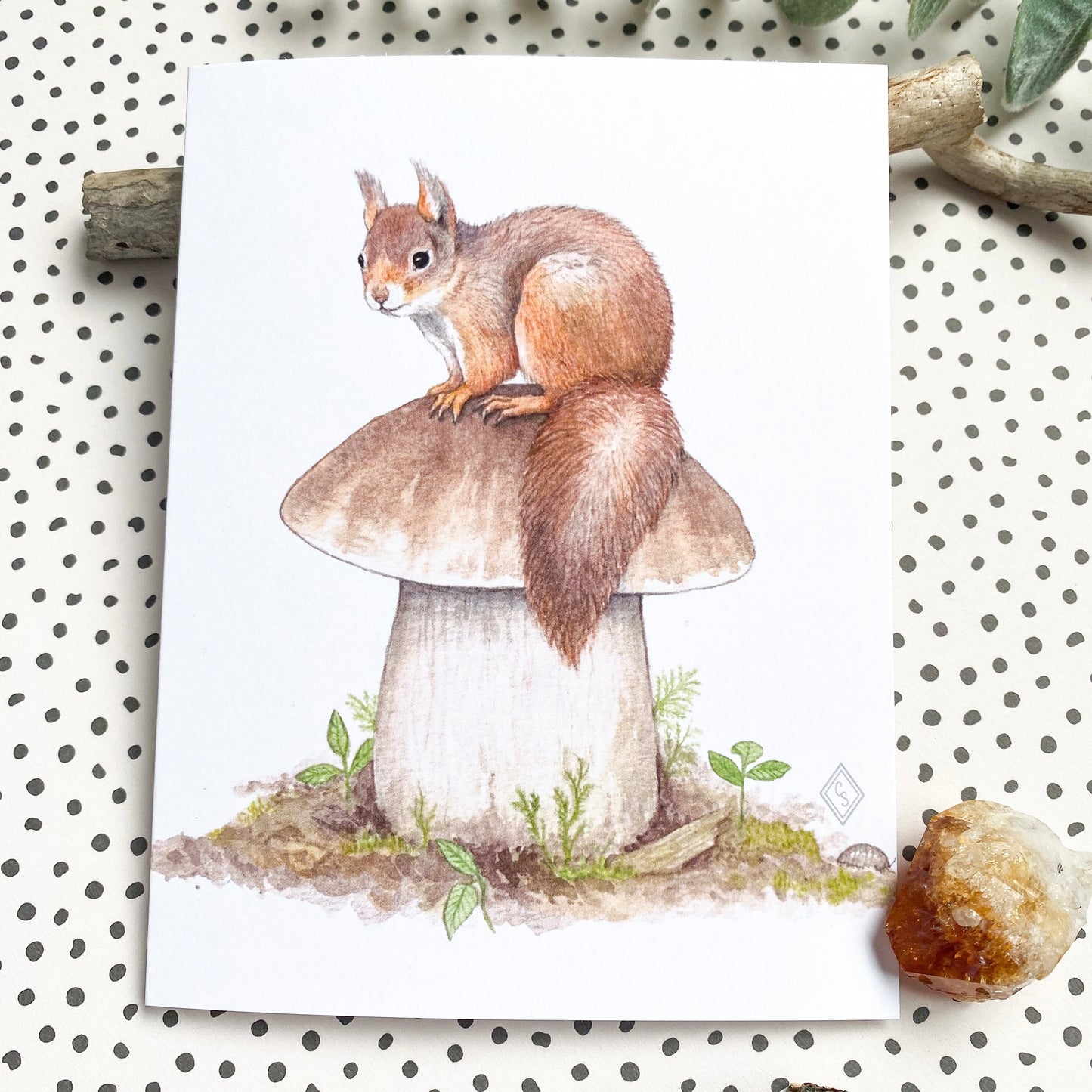 Red Squirrel & King Bolete Mushroom - Greeting Card
