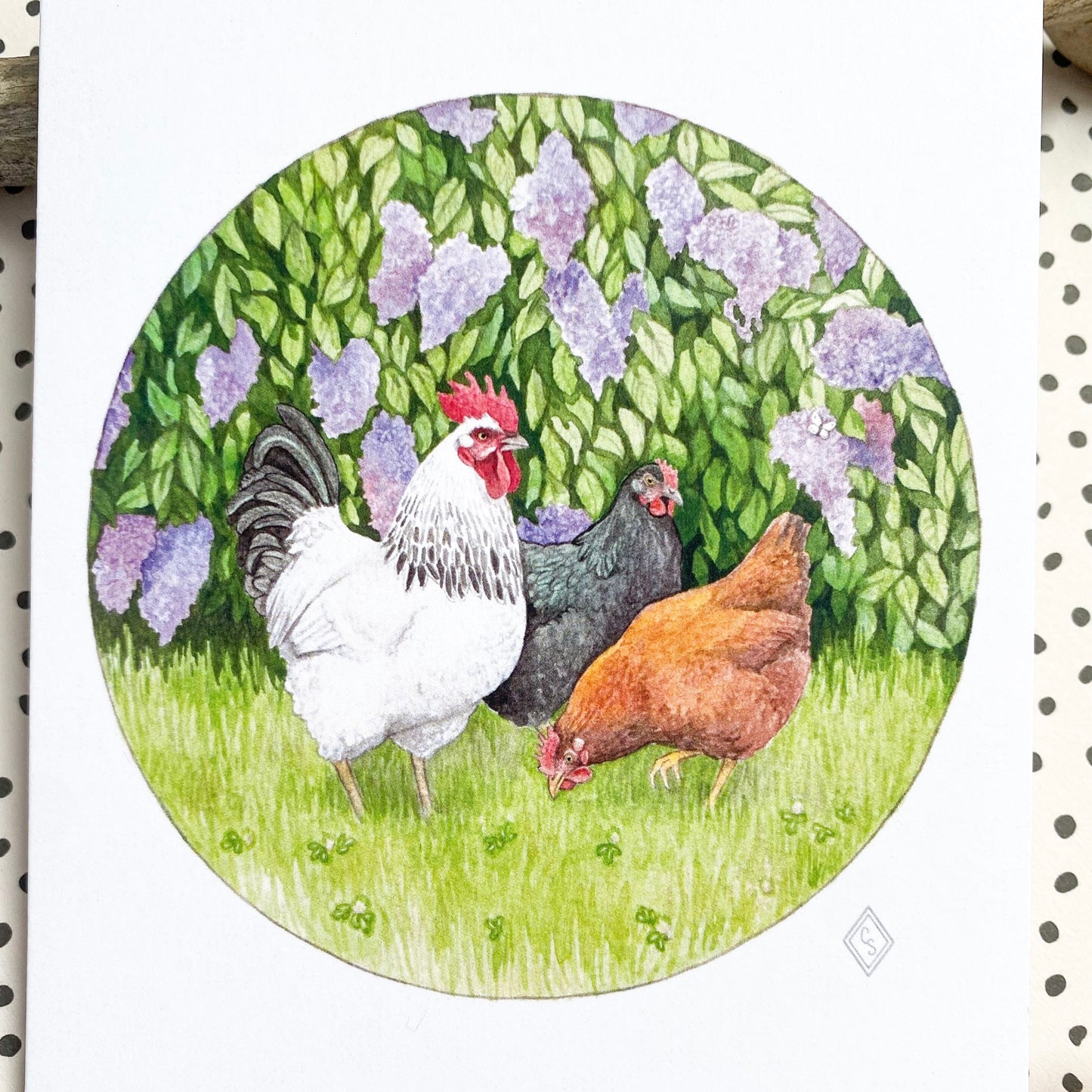 Chickens and Lilacs - Greeting Card