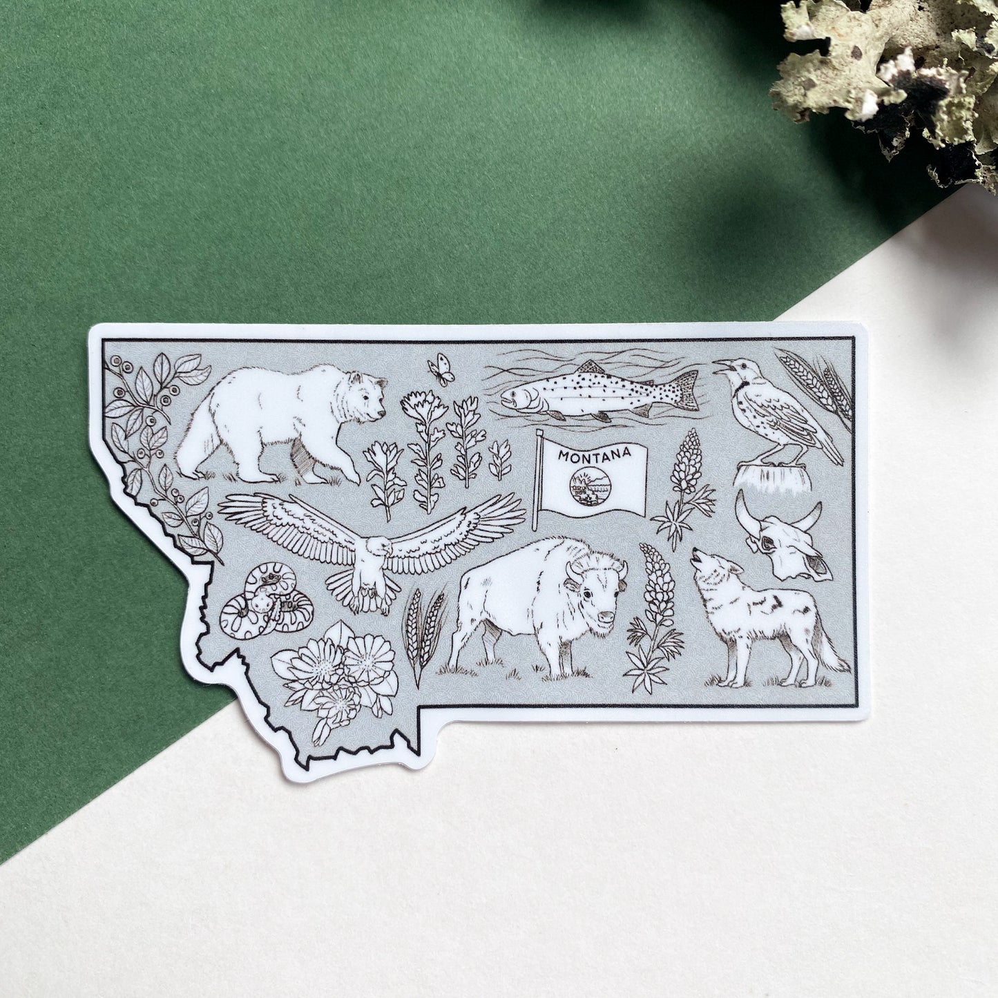 Montana Wilderness Sticker - Larger
