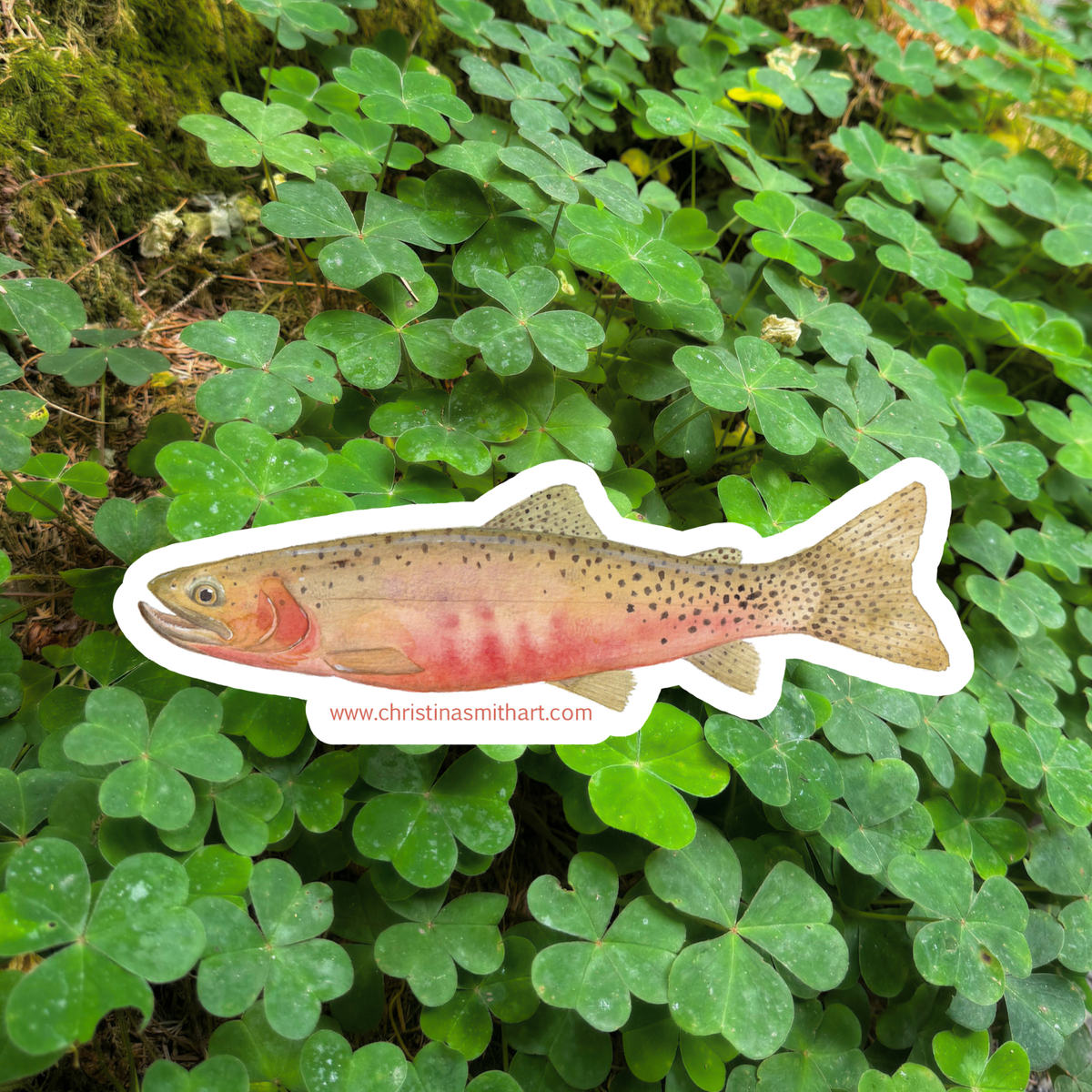 Westslope Trout Sticker