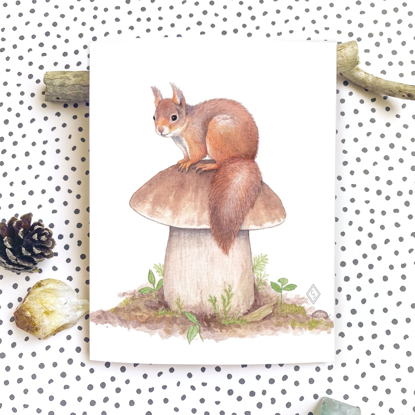 Red Squirrel & King Bolete Mushroom - Greeting Card