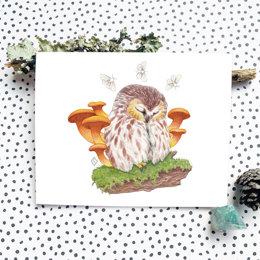 Owl & Mushroom Greeting Card