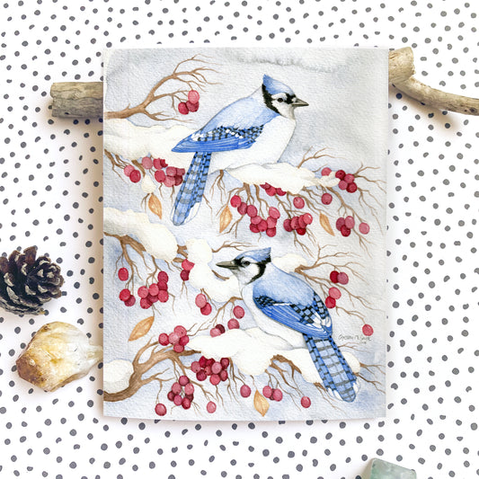 Winter Blue Jay - Christmas Greeting Card