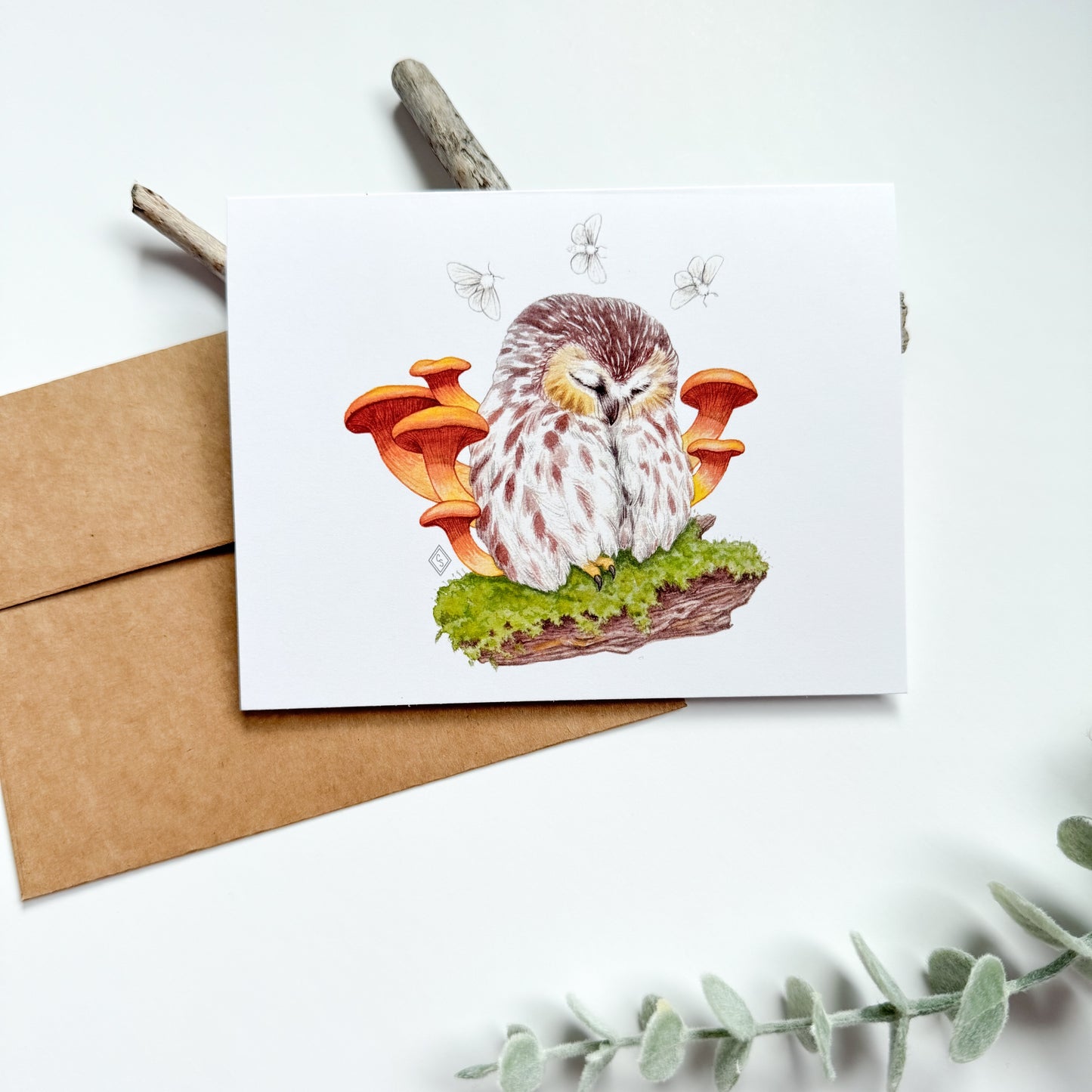 Owl & Mushroom Greeting Card