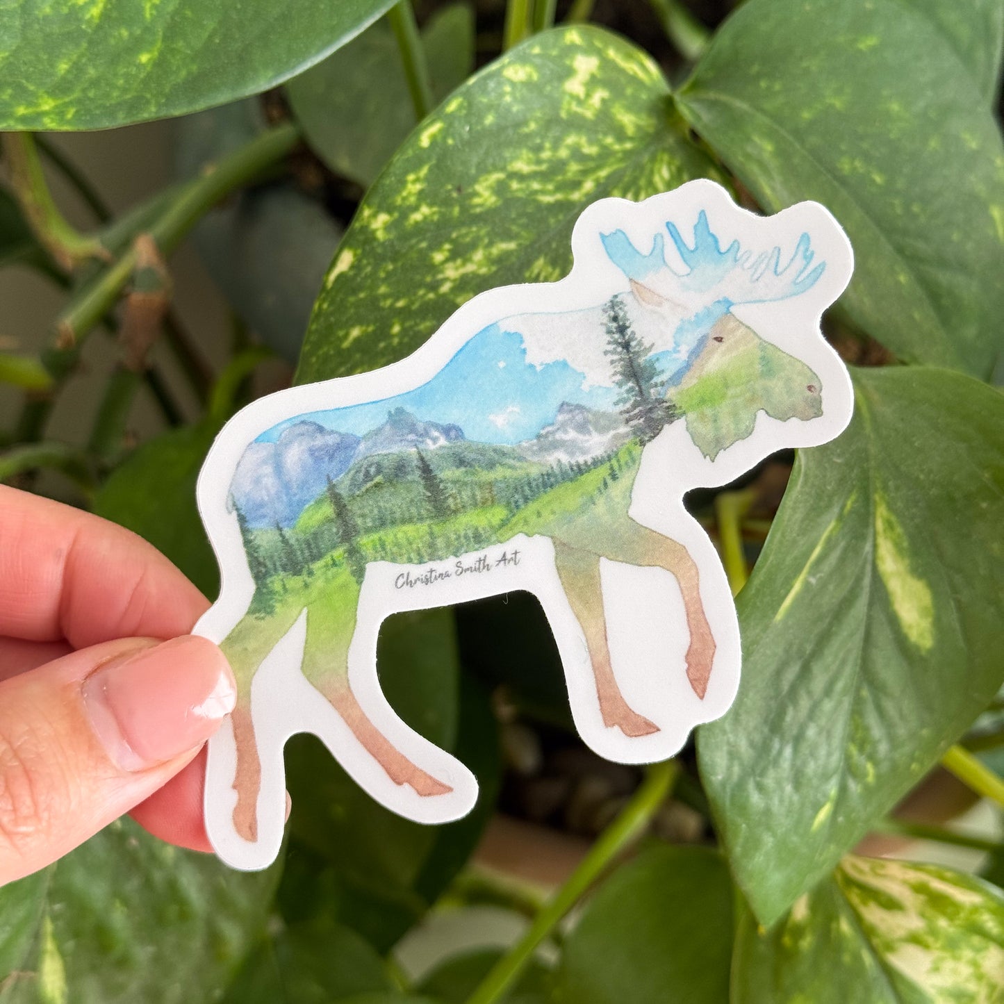 Glacier Park Moose Sticker