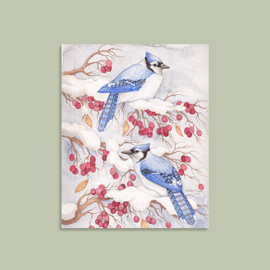 Winter Blue Jays - Limited Edition Art Print