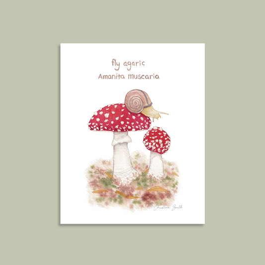 Fly Agaric Mushroom - Art Print
