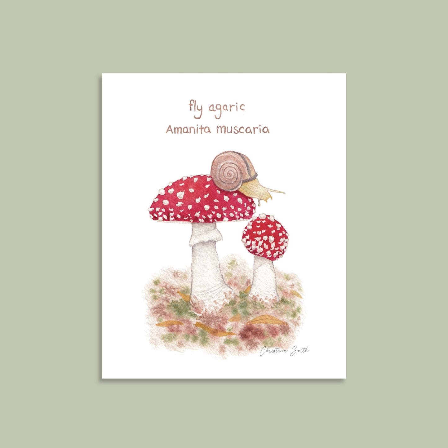 Fly Agaric Mushroom - Art Print