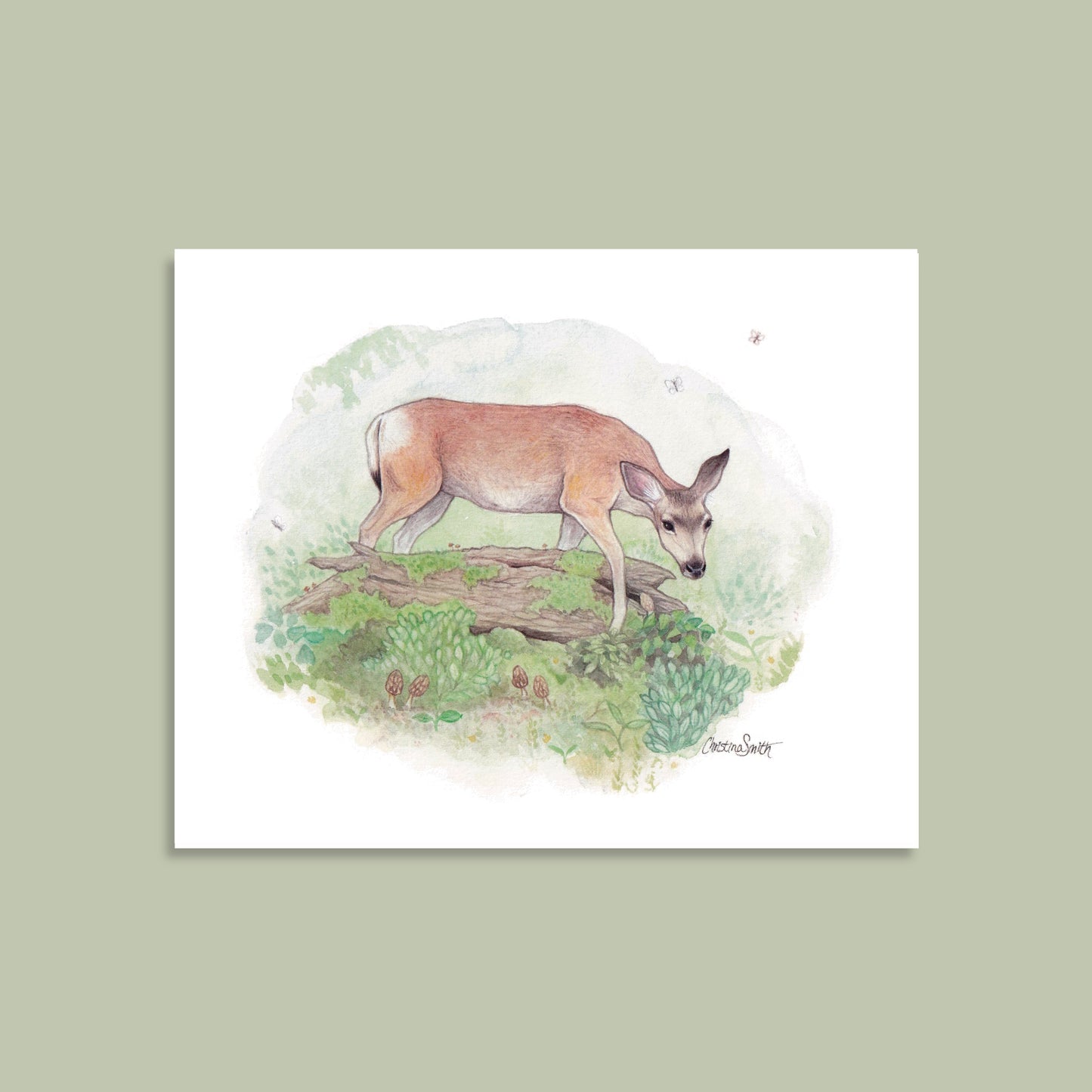 Mule Deer in the Forest - Art Print