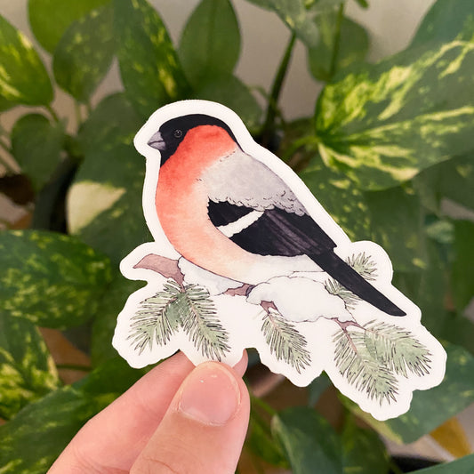 Winter Bullfinch Sticker