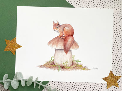 Red Squirrel and King Bolete Mushroom - Art Print