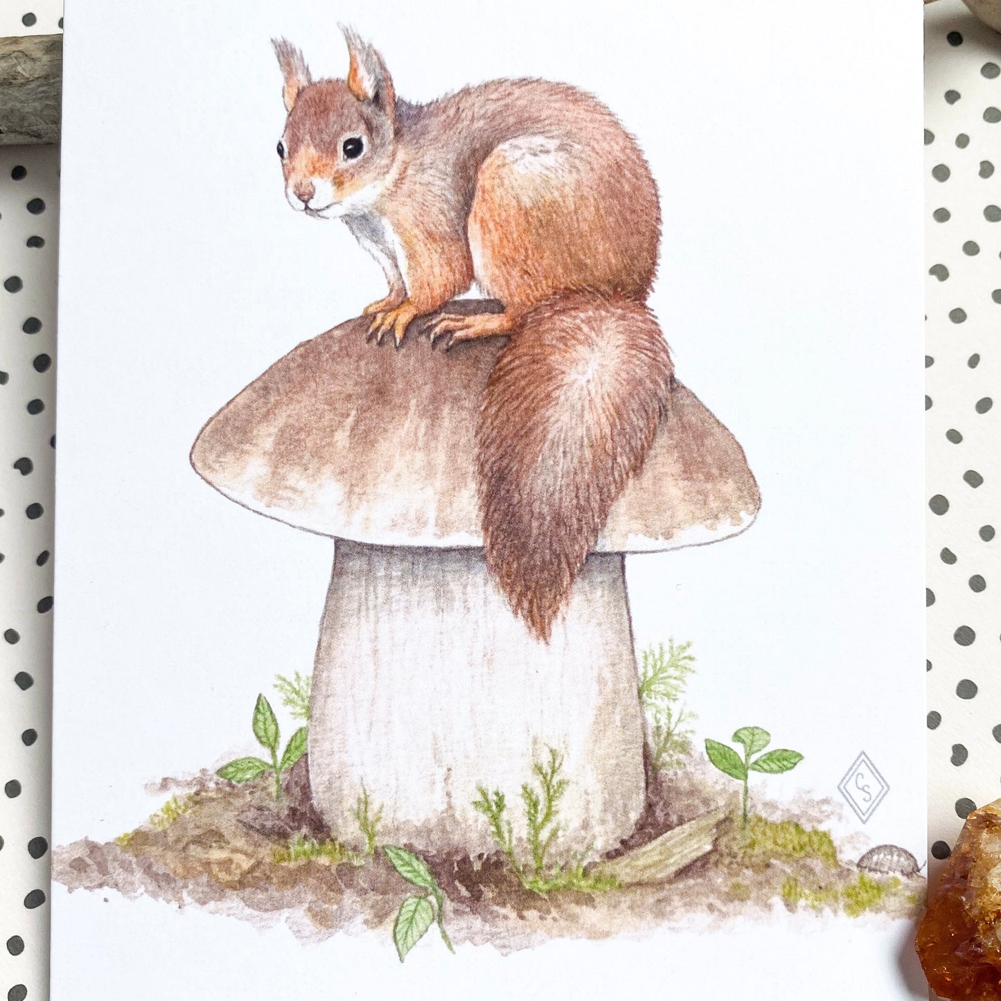 Red Squirrel & King Bolete Mushroom - Greeting Card